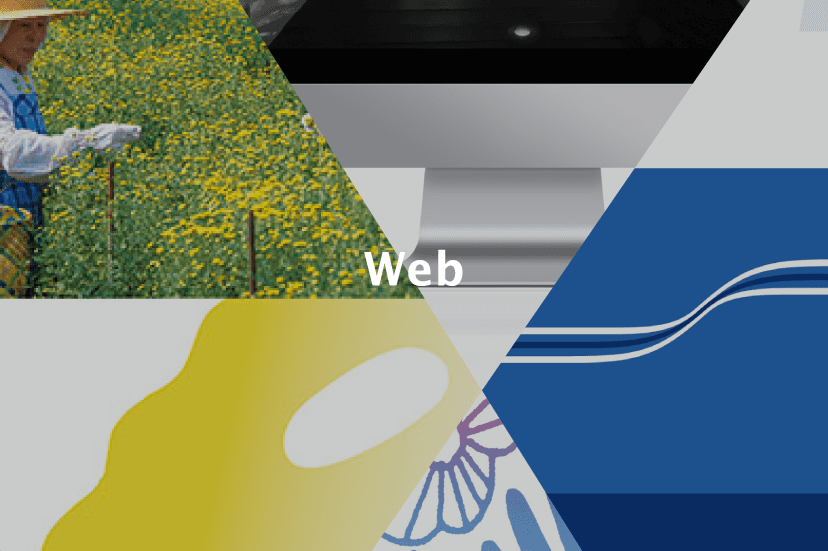 Web