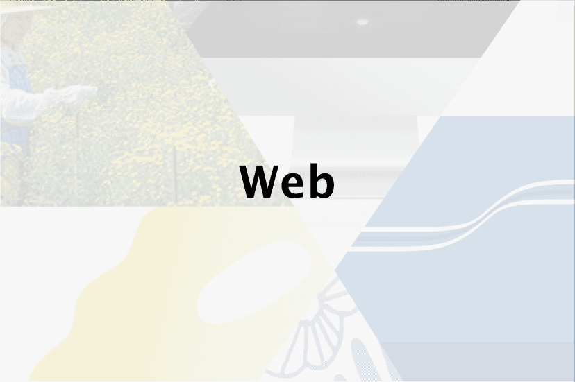 Web